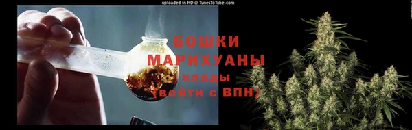 spice Богданович